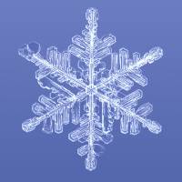 Snow Crystal1 